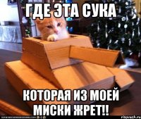 где эта сука которая из моей миски жрет!!