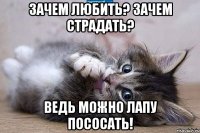 зачем любить? зачем страдать? ведь можно лапу пососать!