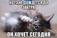 котэ,не дождется до завтра он хочет сегодня