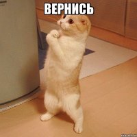 вернись 