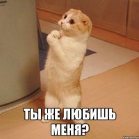  ты же любишь меня?