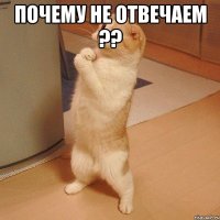 Почему не отвечаем ?? 