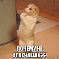  Почему не отвечаешь??