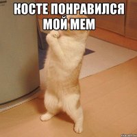 Косте понравился мой мем 