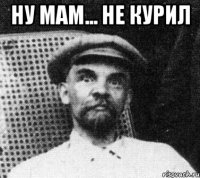 ну мам... не курил 