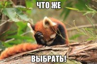 ЧТО ЖЕ ВЫБРАТЬ!