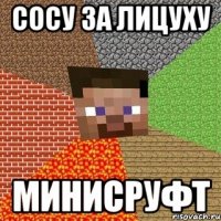 сосу за лицуху минисруфт