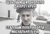 Щоб лани широкополі і Дніпро і кручі сталі вам поперік горла маскальня їбуча