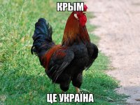 крым це Україна