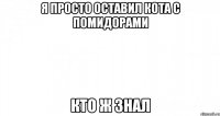 Я просто оставил кота с помидорами Кто ж знал