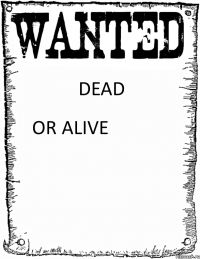 DEAD OR ALIVE