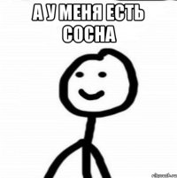 А у меня есть сосна 