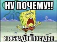 Ну почему!! Я губка для посуды!