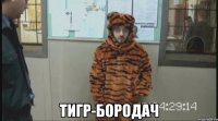  Тигр-бородач