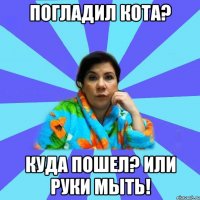 Погладил кота? Куда пошел? Или руки мыть!