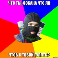 Что ты, собака что ли чтоб с тобой гулять?