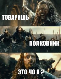 Товаришь Полковник Это чо я ?