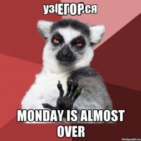 Егор Monday is almost over