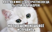 Я котик.И мне стало грустно,когда ты отказала Андрею. Но ты ещё можешь всё исправить.