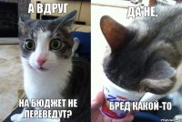 А ВДРУГ на бюджет не переведут? да не, бред какой-то