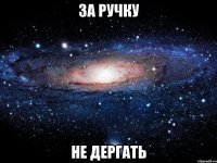 за ручку НЕ дергать