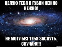 Целую тебя в губки нежно нежно! Не могу без тебя заснуть. Скучаю!!!