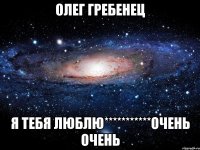 Олег Гребенец я тебя люблю***********очень очень