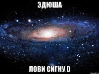 Эдюша Лови сигну D