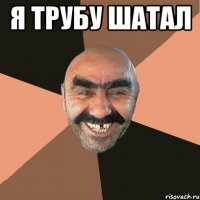 Я трубу шатал 