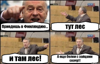 Приедешь в Финляндию... тут лес и там лес! А еще белки с зайцами скачут!