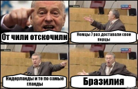 От чили отскочили Немцы 7 раз доставали свои перцы Нидерланды и те по самые гланды Бразилия