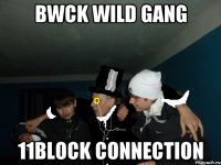 Bwck wild gang 11block connection