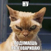 Ну Подумаешь разговариваю