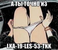 А ты точно из LKA-19-LES-53-TKK