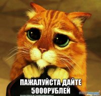  Пажалуйста дайте 5000рублей