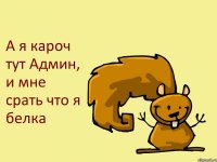 А я кароч тут Админ, и мне срать что я белка