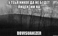 у тебя никогда не будет лицензии на DbVisuakizer