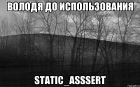 Володя до использования static_asssert