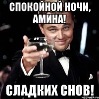 Спокойной ночи, Амина! Сладких снов!