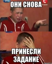 Они снова Принесли задание