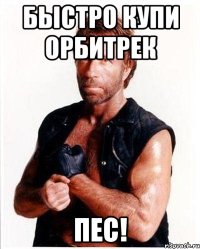 Быстро купи орбитрек ПЕС!