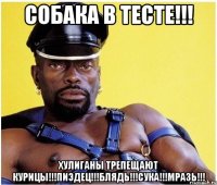 Собака в тесте!!! Хулиганы трепещают курицы!!!Пиэдец!!!Блядь!!!Сука!!!Мразь!!!