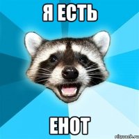 Я ЕСТЬ ЕНОТ