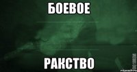 боевое ракство