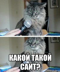  Какой такой сайт?