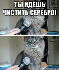 Ты идёшь чистить серебро! 