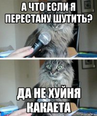 А что если я перестану шутить? Да не хуйня какаета