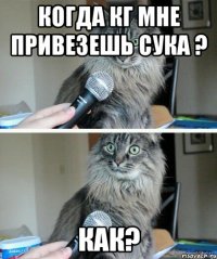 когда кг мне привезешь сука ? КАК?