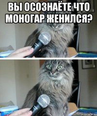 Вы осознаёте что Моногар женился? 