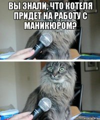 Вы знали, что котеля придет на работу с маникюром? 